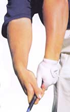 �S���t��B�@�S���t�X�C���O�A���ʐ^