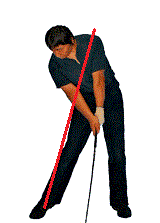 �S���t��B�@�S���t�X�C���O�A���ʐ^