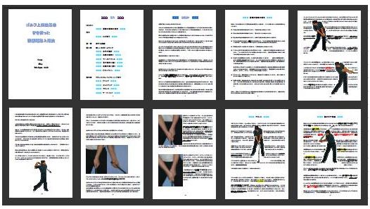 �S���t��B�@�S���t�X�C���O�A���ʐ^